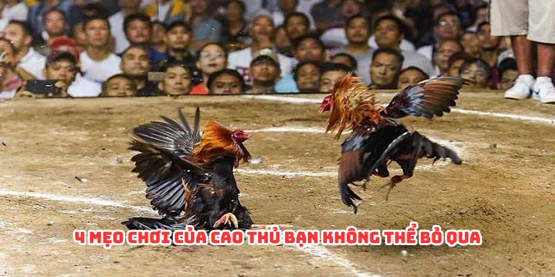 4 mẹo chơi của cao thủ bạn không thể bỏ qua