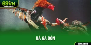 Đá Gà Đòn 69VN - Luật Lệ, Đặc Điểm Và Những Điều Cần Biết