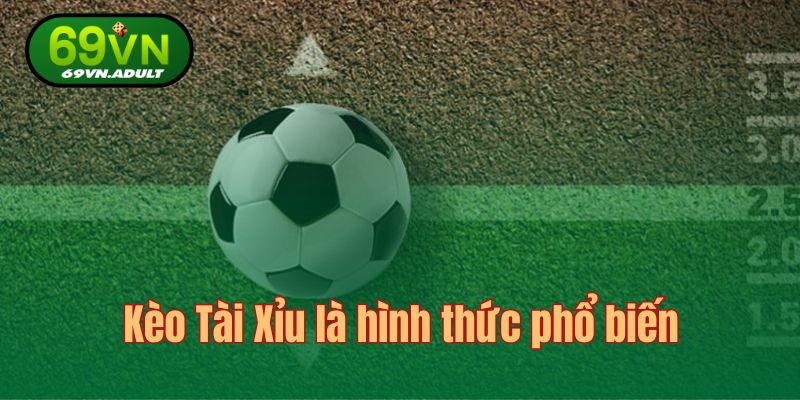 Kèo Tài Xỉu là hình thức chơi cá độ rất thú vị