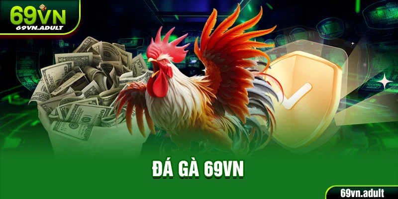 Đá Gà 69VN - Bùng Nổ Cá Cược Với Những Màn So Kè Mãn Nhãn